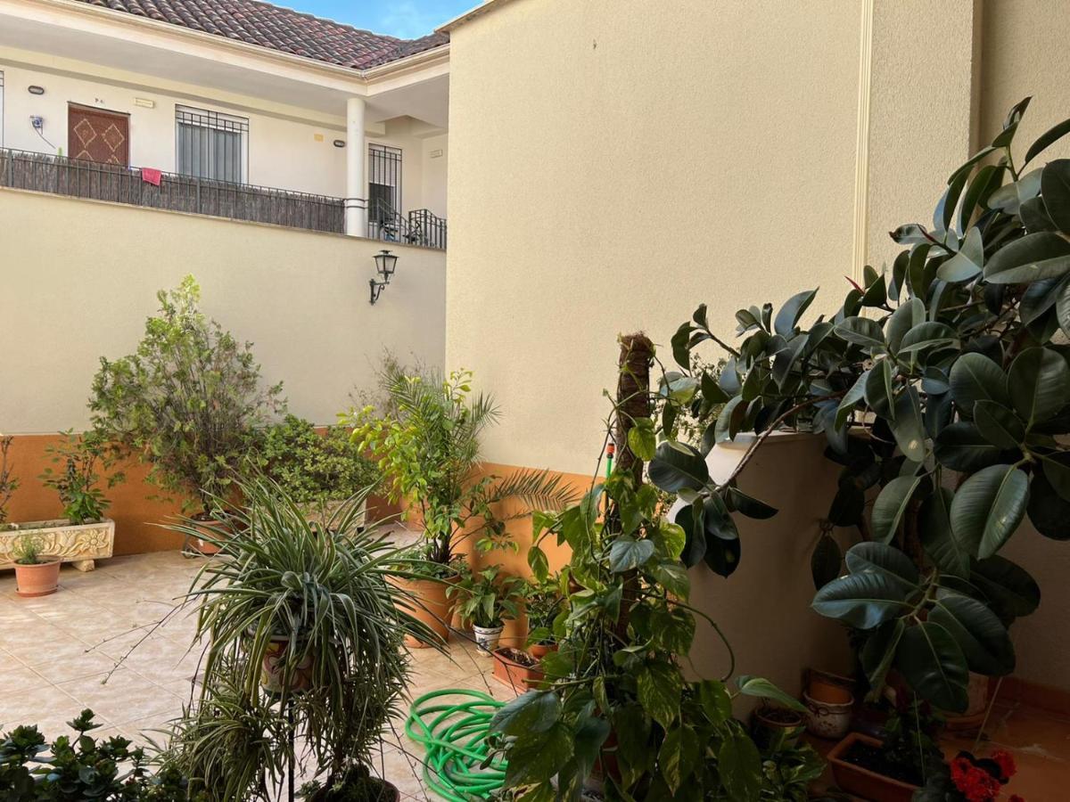 Apartamento Duplex El Tinte Córdoba Exteriör bild